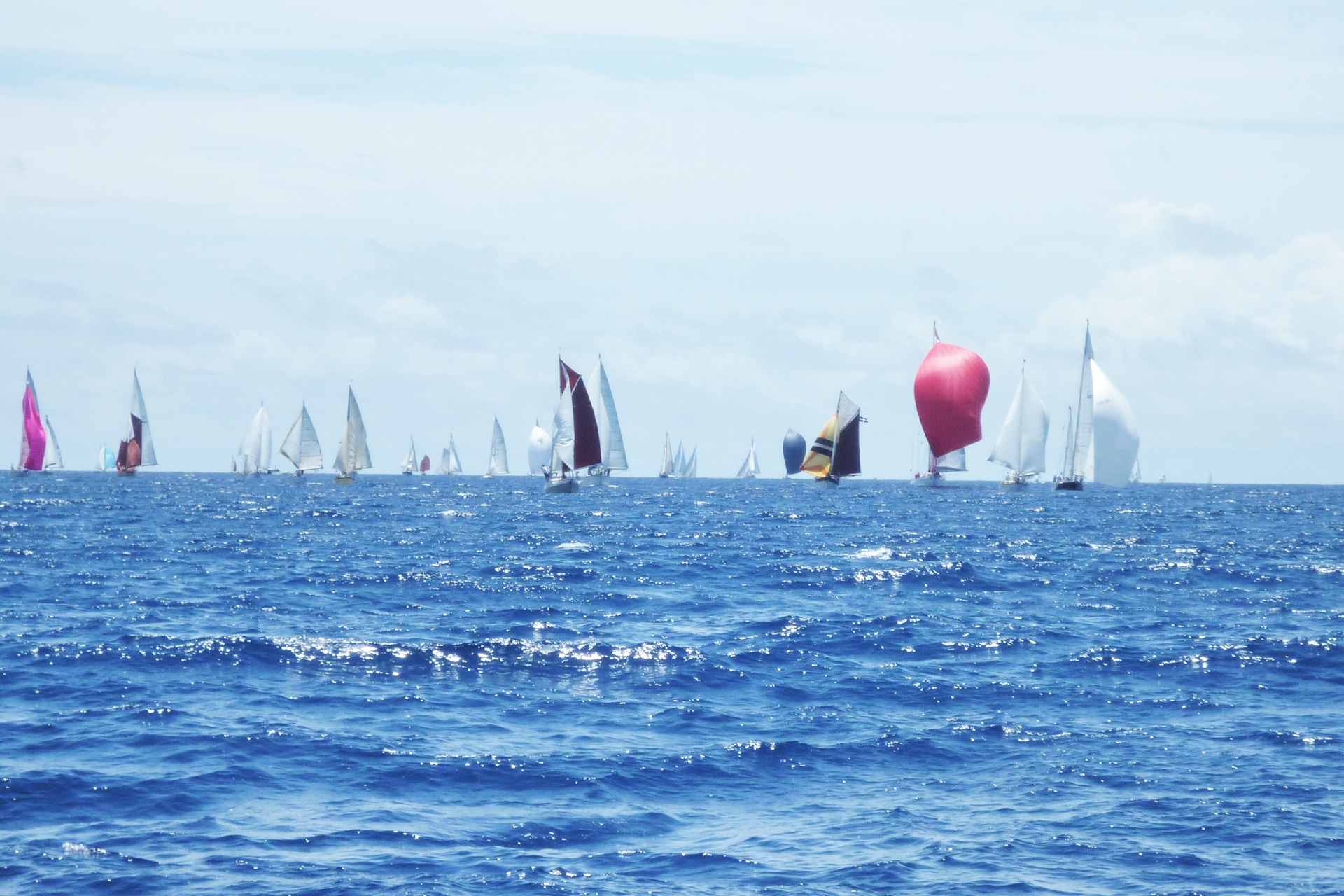 Regatta Cagliari Sardegna