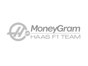 hass-grey